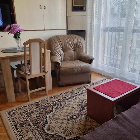 Dorcol Appartamento Belgrado